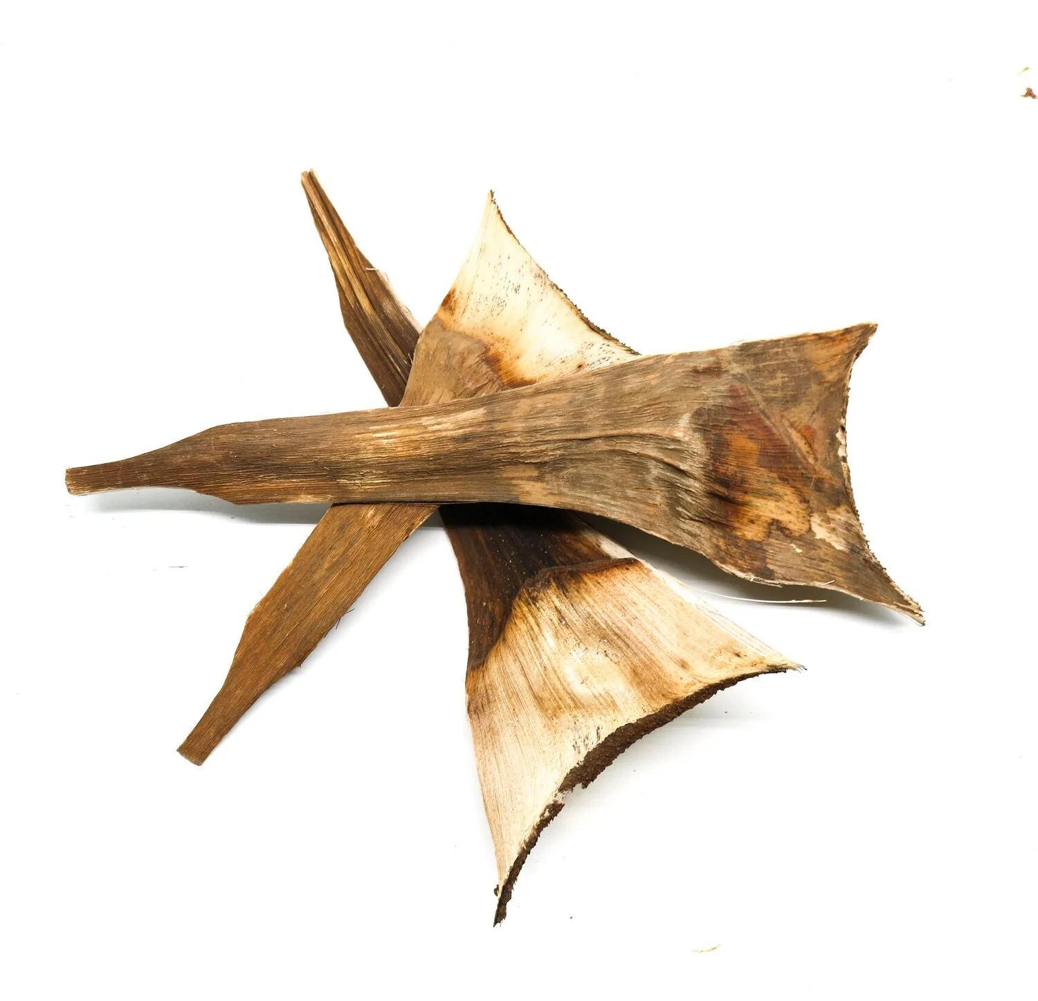 Agave Sheathes