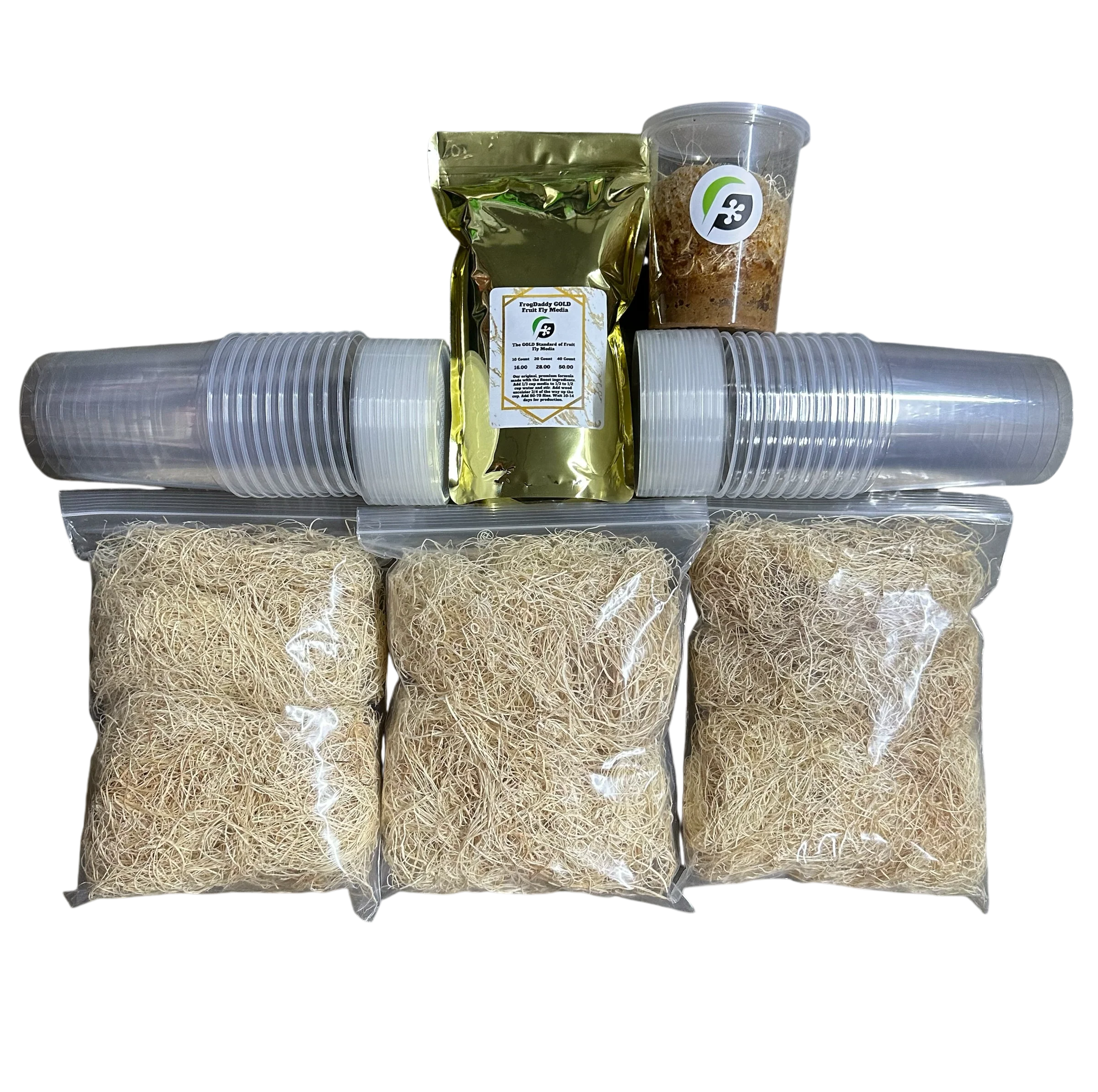 FrogDaddy Complete GOLD Fruit Fly Culturing Kit - Image 5