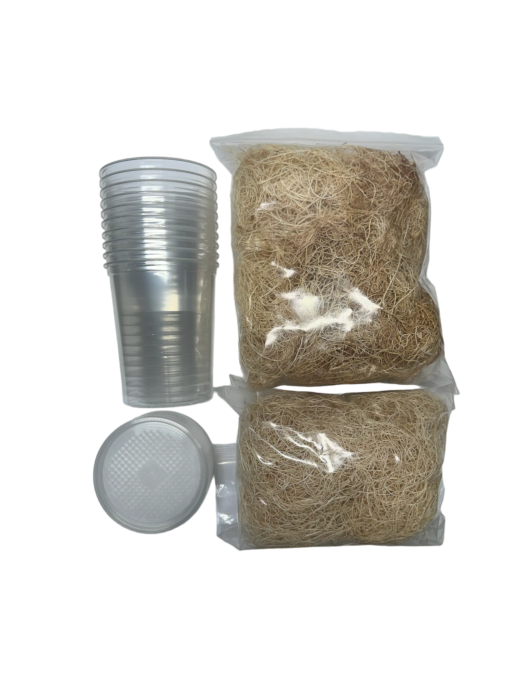 FrogDaddy Fruit Fly Culturing Equipment - Subscription