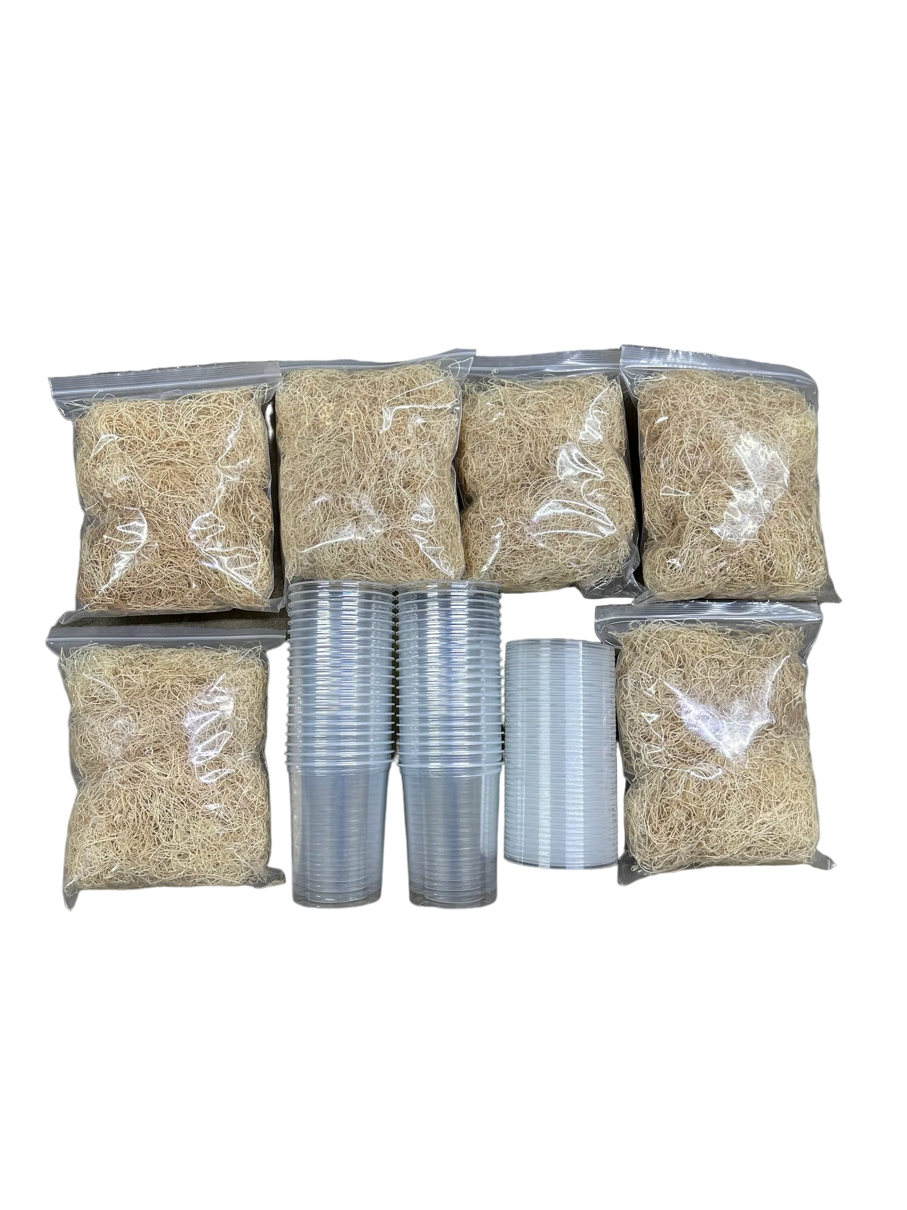 FrogDaddy Fruit Fly Culturing Equipment - Subscription - Image 3