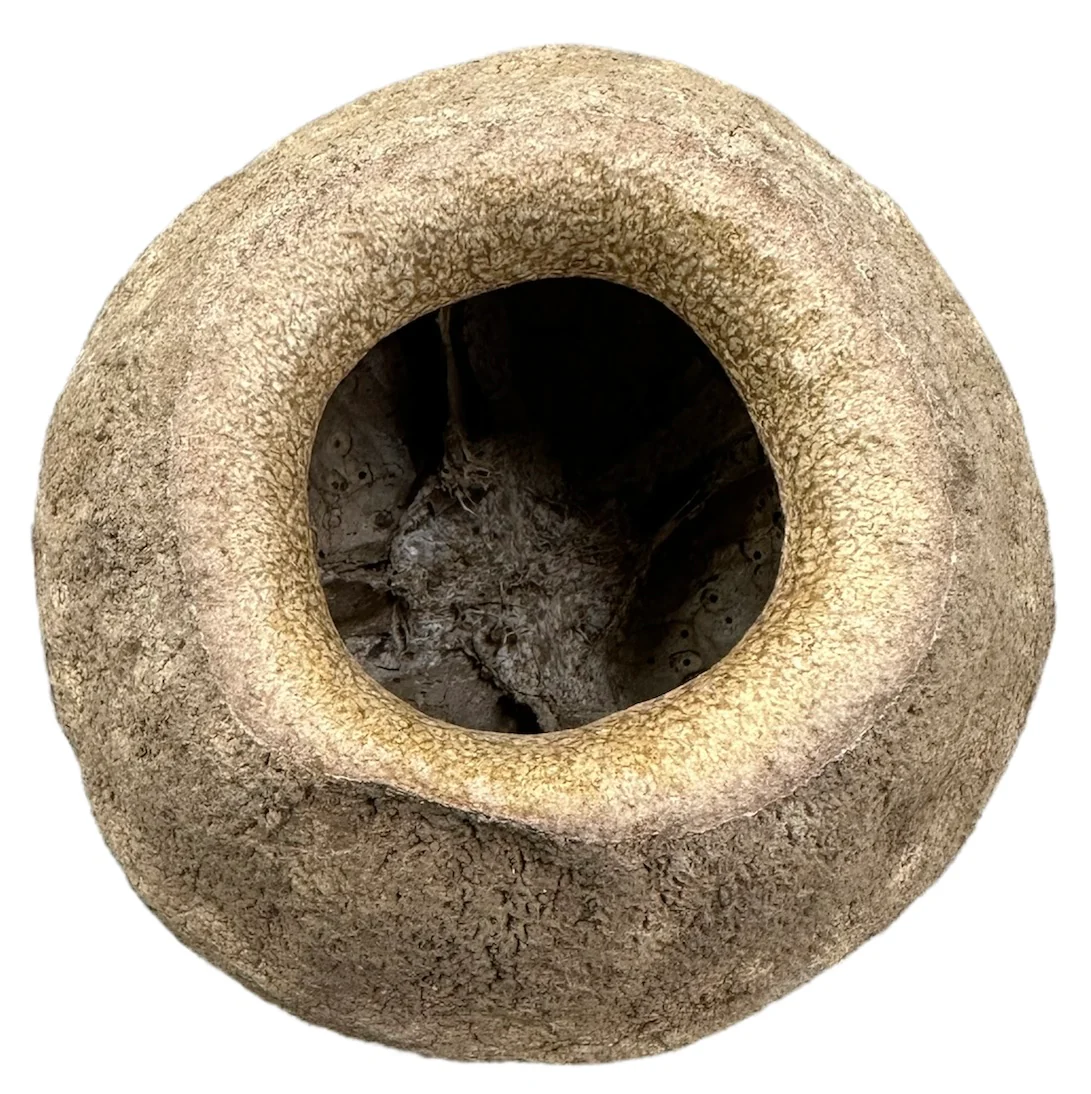 King Pod - Image 2