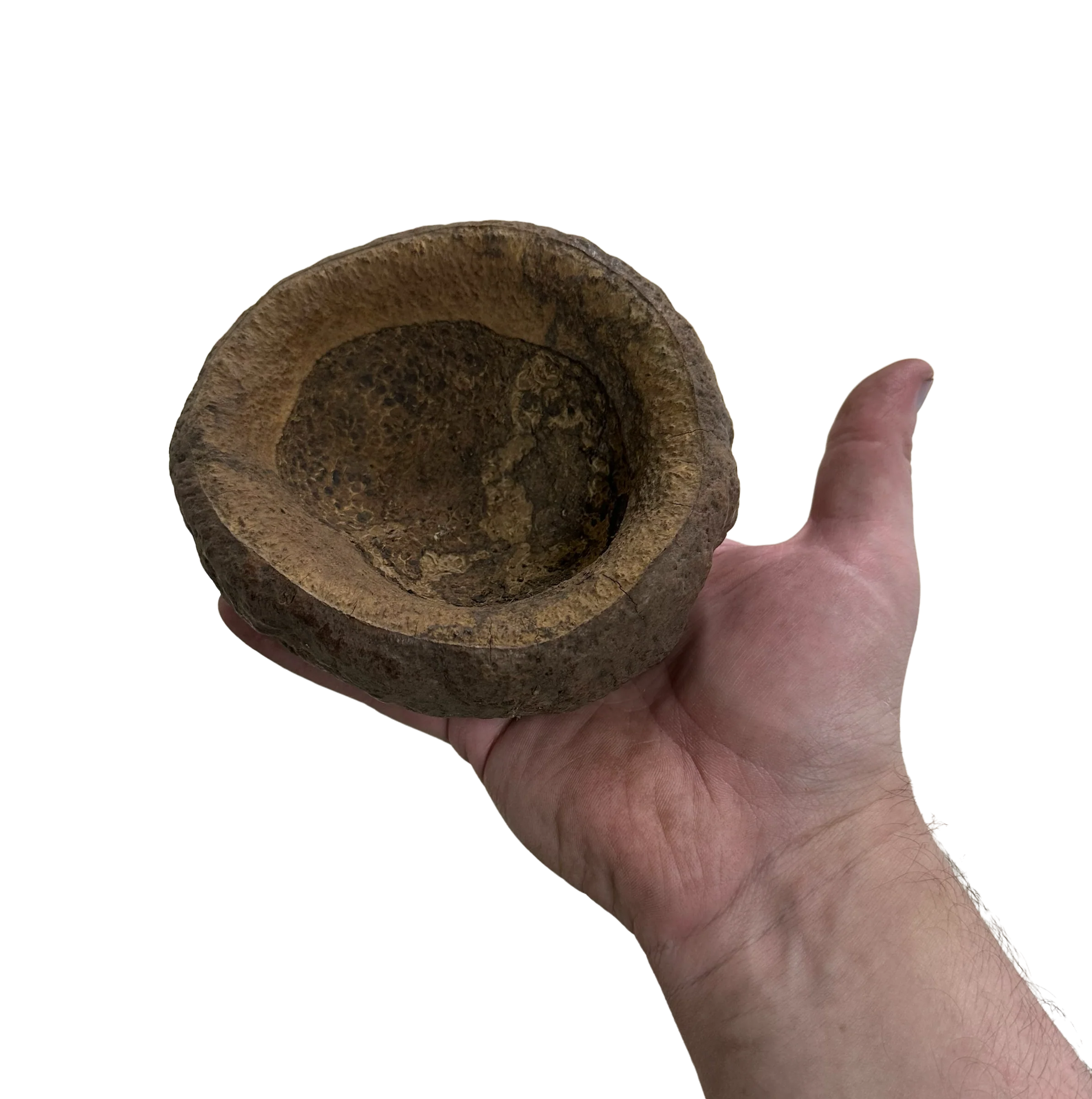 Monkey Pod - Image 3