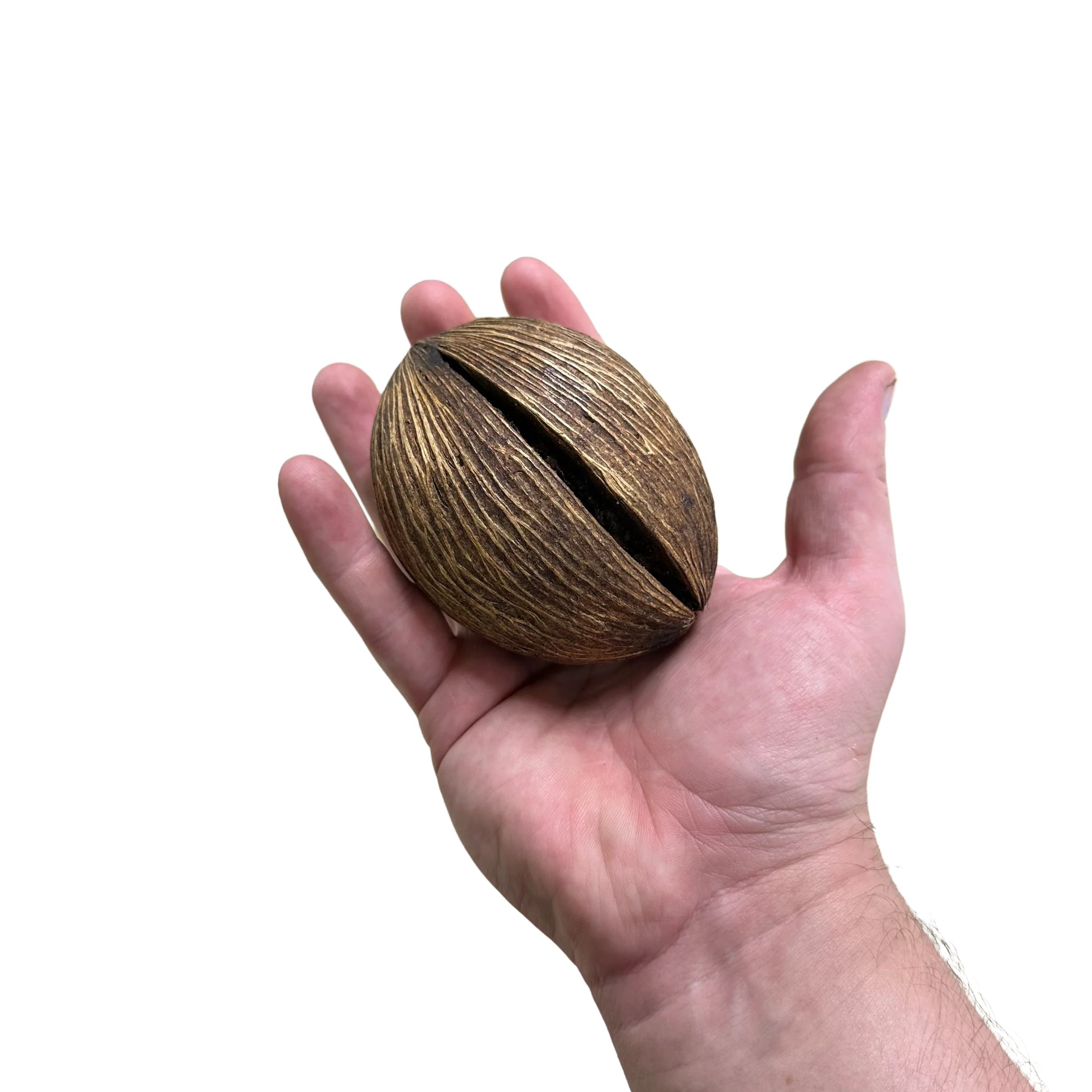 Mystic Pod - Large - Image 2