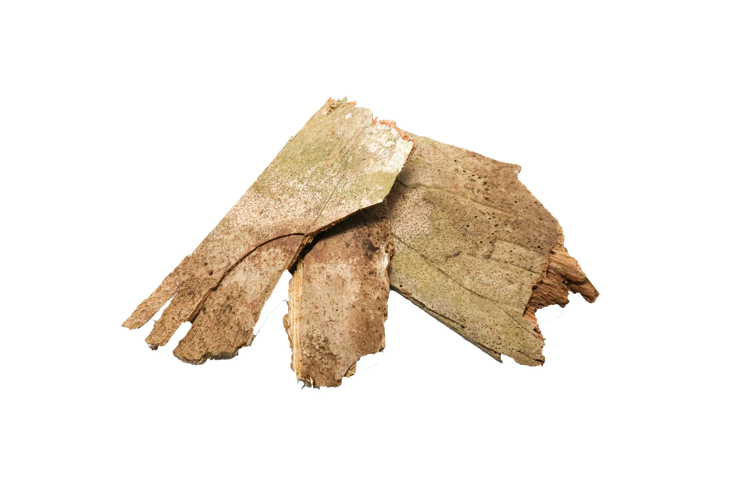 Palm Bark Chunks