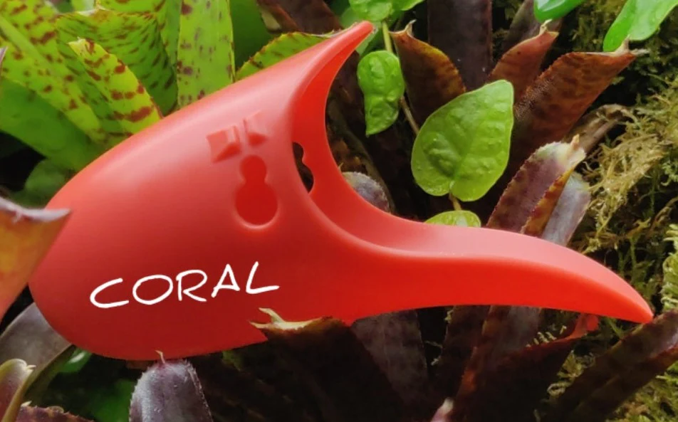 Tad Pool - Coral - Image 3