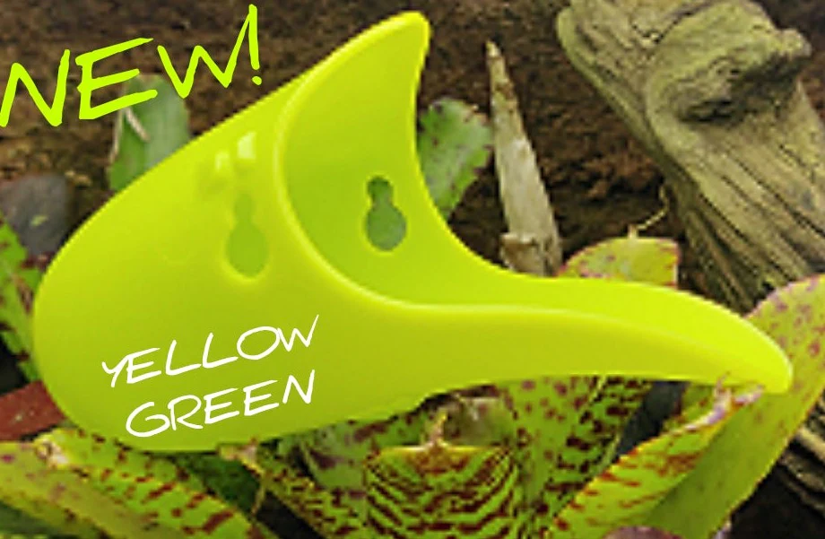 Tad Pool - Lime Green / Yellow Green - Image 3
